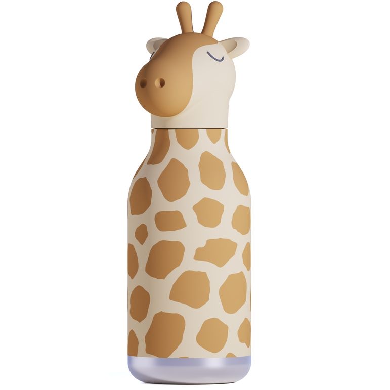 Character Water Bottle