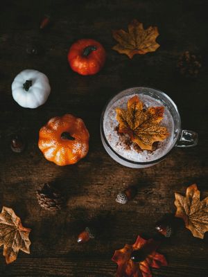 Gray House Fall Collection