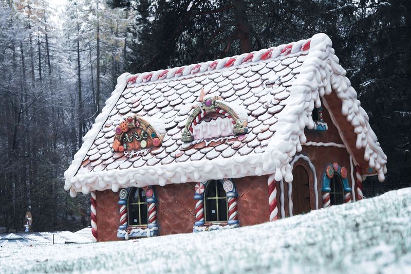 Hansel and Gretel's House