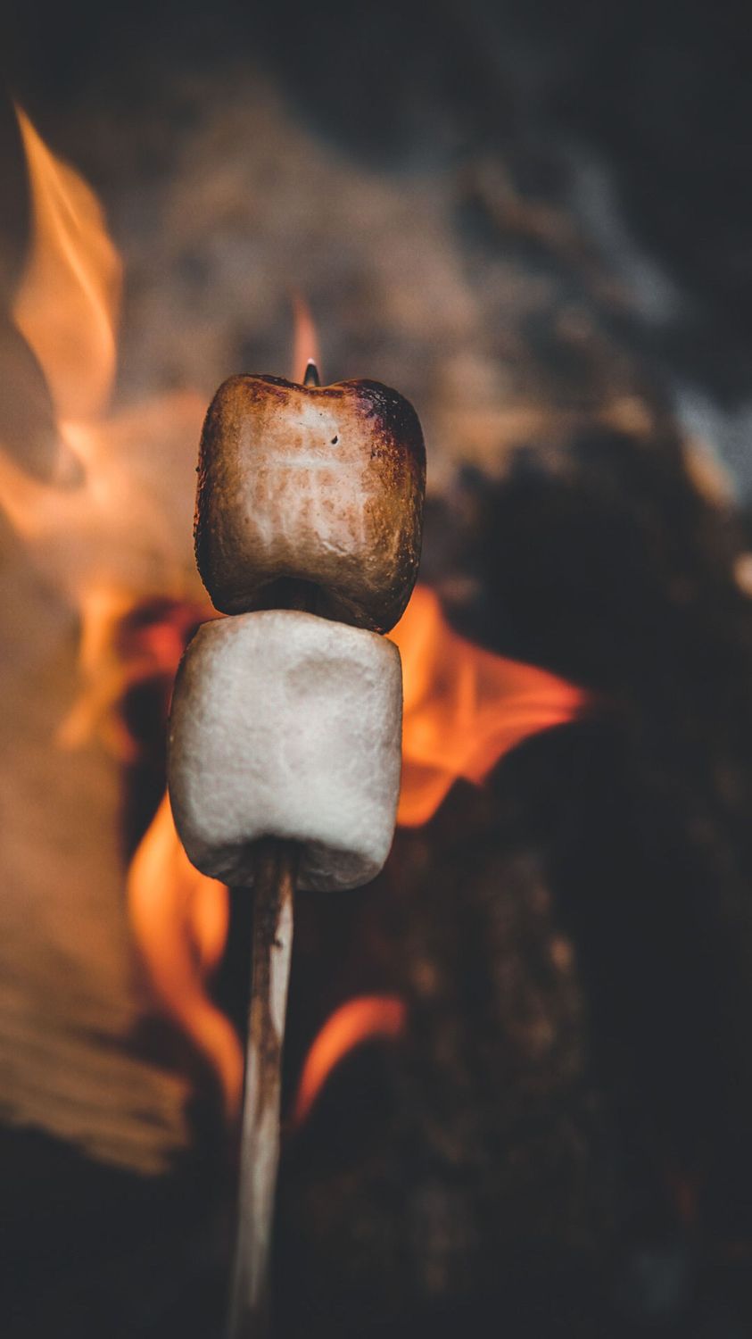 Roasted Marshmallows