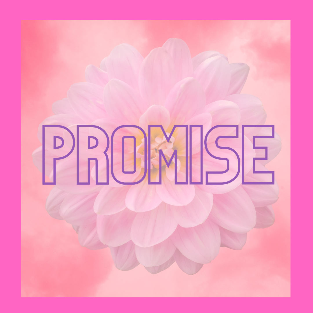 Promise Package- Six Months