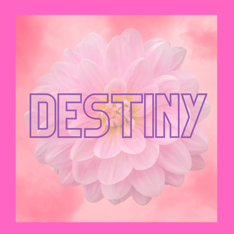 Destiny Package- Three Months