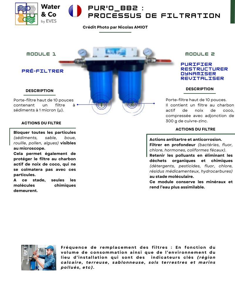 PUR&#39;O_BB2 DÉBIT 90M3 DOUBLE PORTE-FILTRE BIG BLUE VTE BTOC