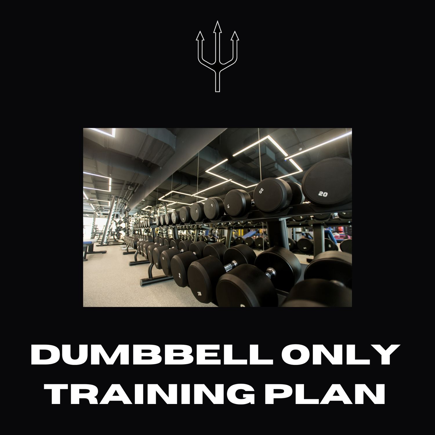 DUMBBELL ONLY TRAINING  PLAN