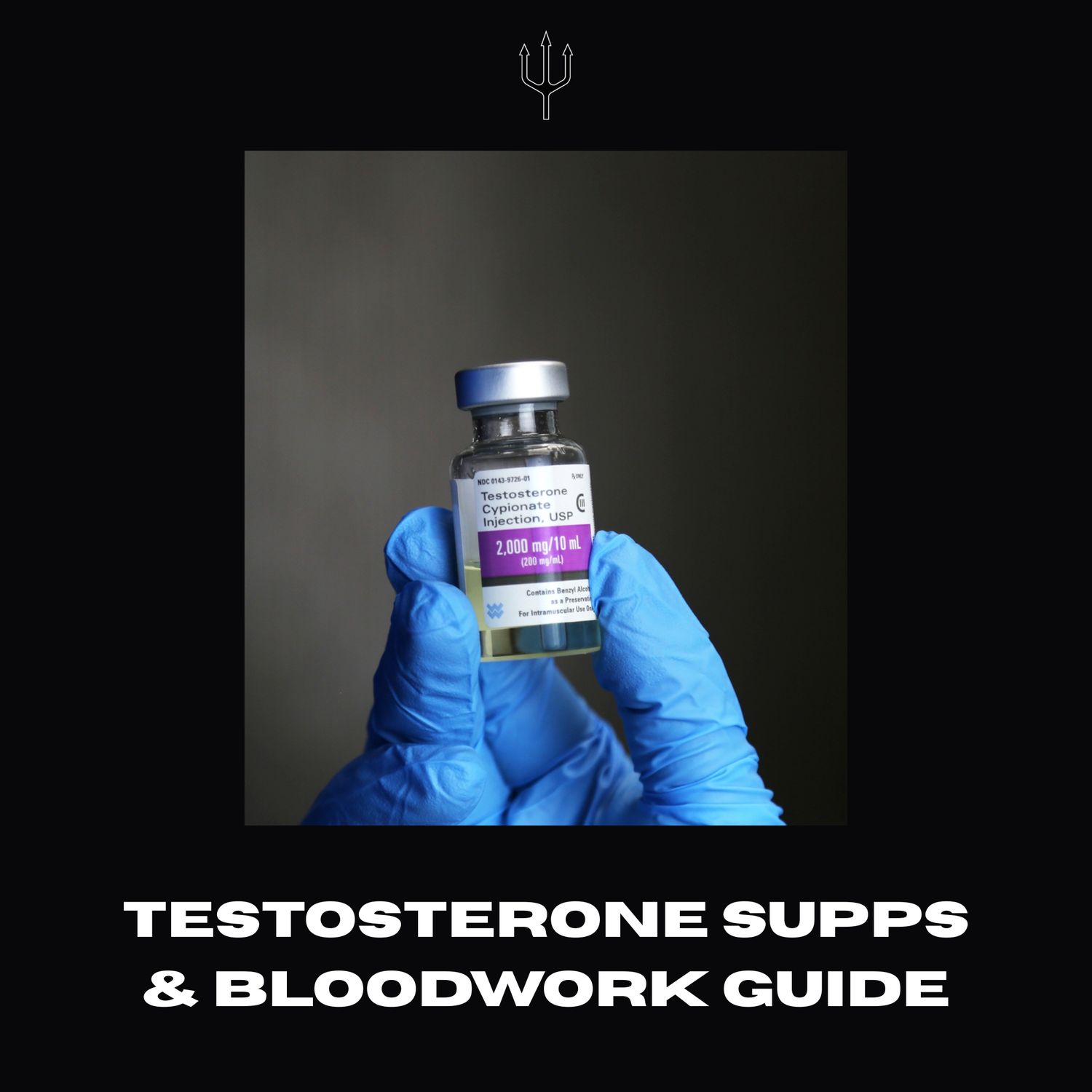 Testosterone supp. and bloodwork guide