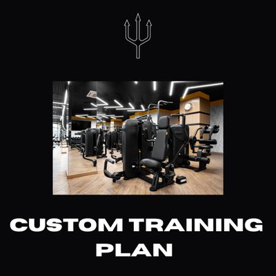 CUSTOM TRAINING PLAN