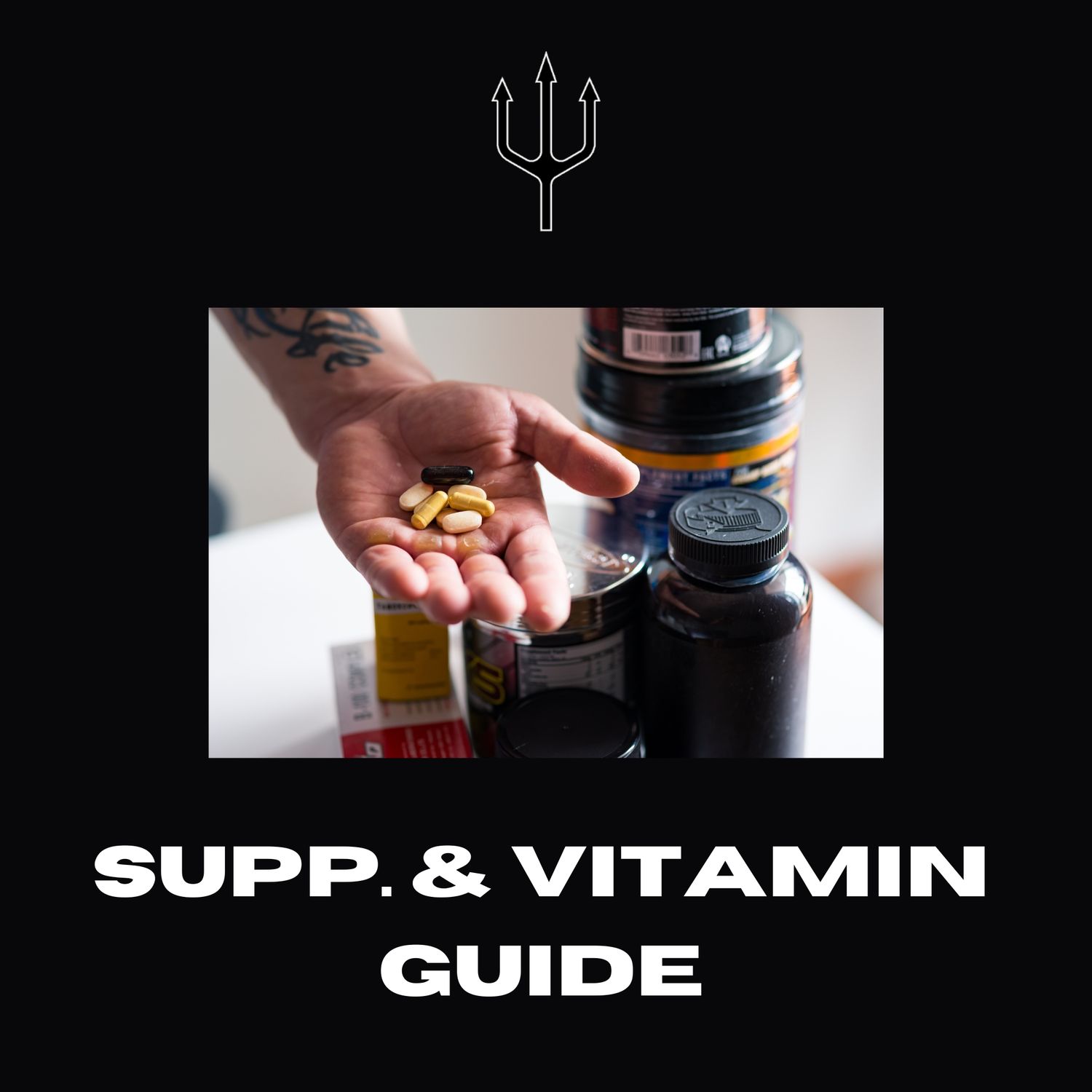 SUPPLEMENT AND VITAMIN GUIDE