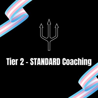Tier 2 - Standard Coaching