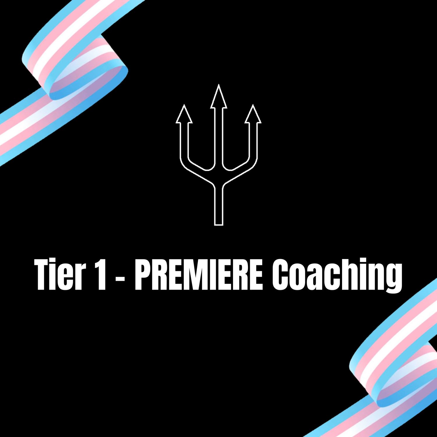 Tier 1 - Premiere Coaching
