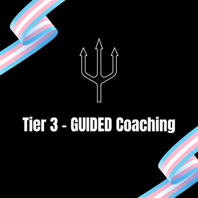 Tier 3 - Guided Coaching