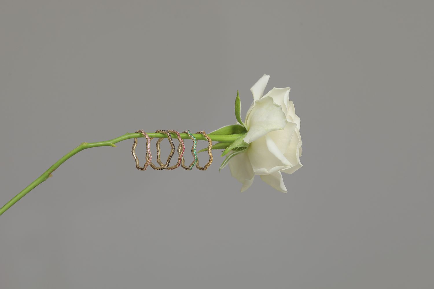 E-commerce Product Image