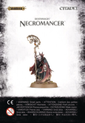 Soulblight Gravelords: Necromancer