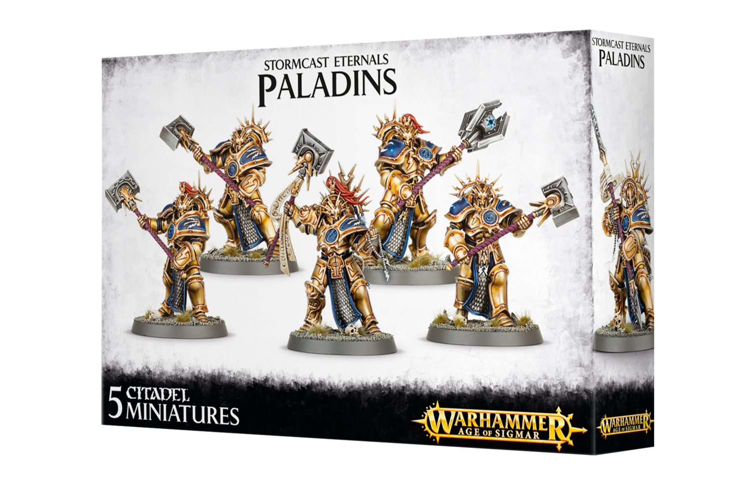 96-12 Stormcast Paladins