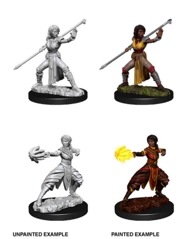 Dungeons &amp; Dragons Nolzur`s Marvelous Unpainted Miniatures: Half-Elf Female Monk