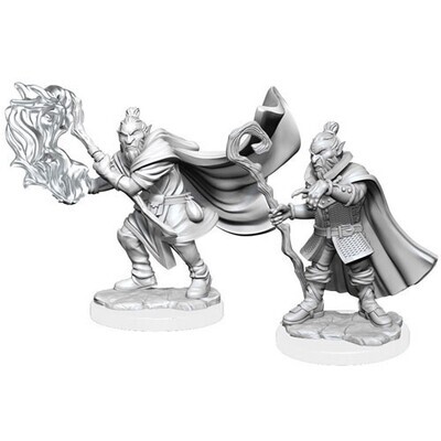Critical Role Unpainted Miniatures: Hobgoblin Wizard and Druid Male