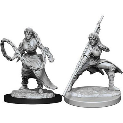 Dungeons &amp; Dragons Nolzur`s Marvelous Unpainted Miniatures: Human Female Monk 