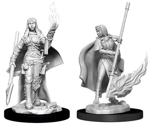 Pathfinder Deep Cuts Unpainted Miniatures: Female Human Oracle (Magic User)