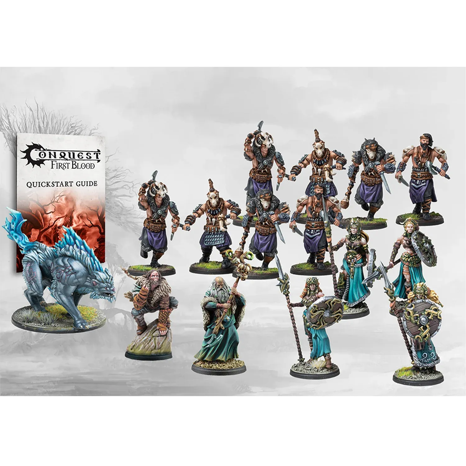 Nords: First Blood Warband 2024