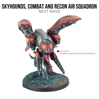 Skyhounds Combat and Recon Air Squadron