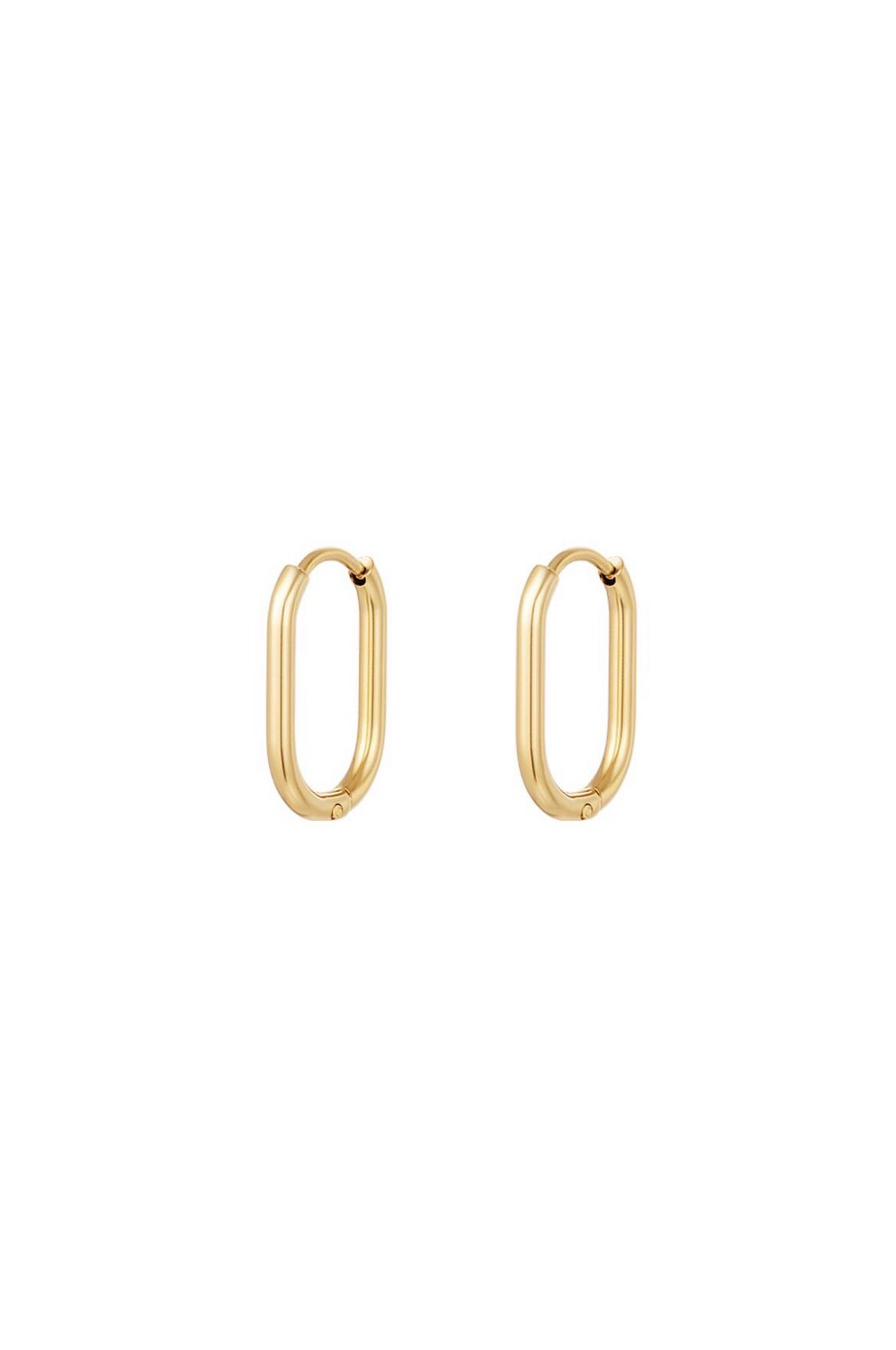 Oval Pair Of Hoops