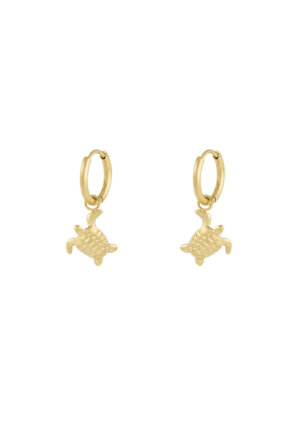 Turtle hoops
