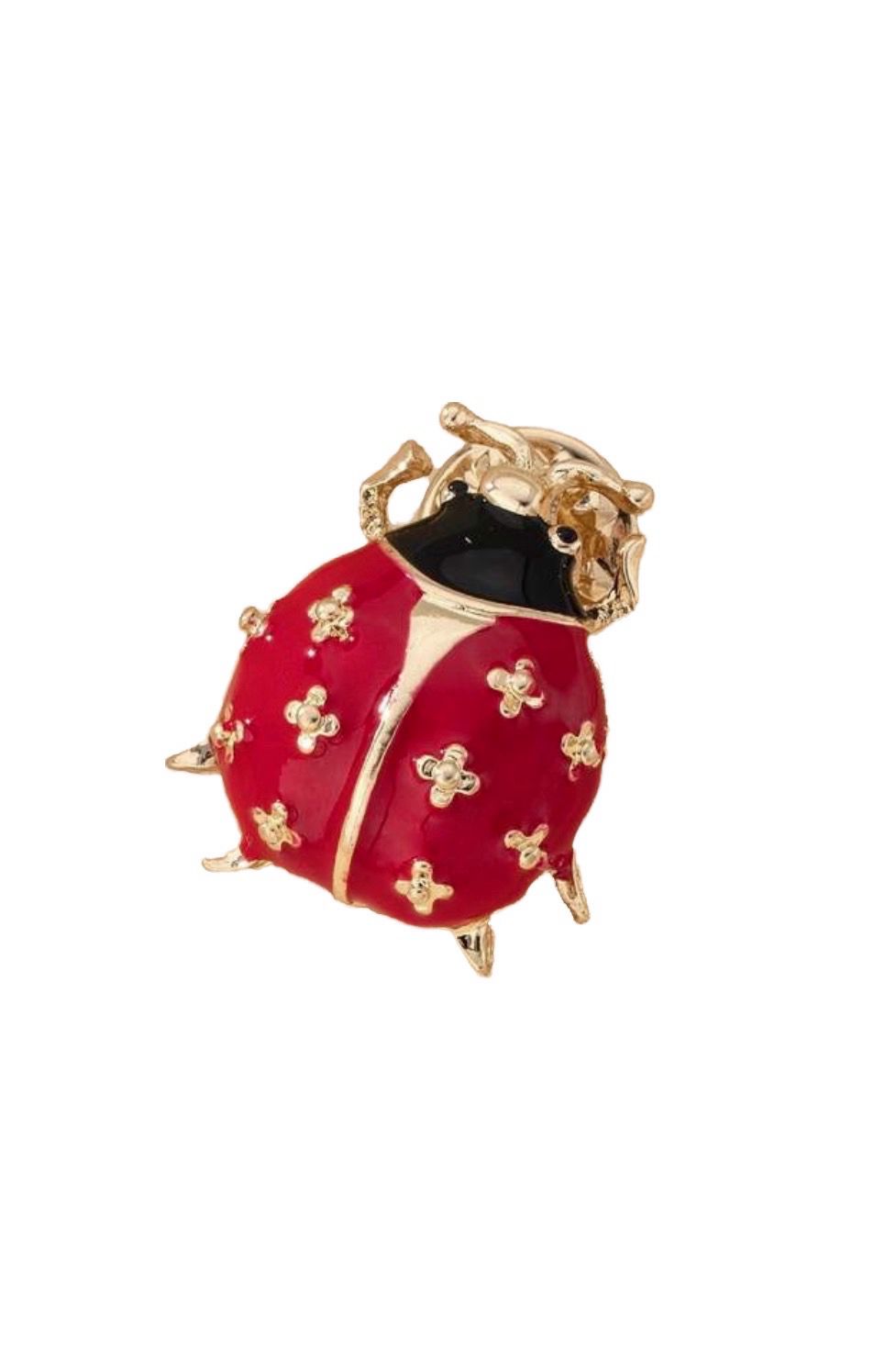 Lieveheersbeestje pin