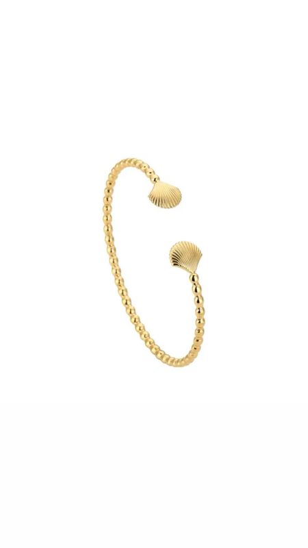 Shell bracelet