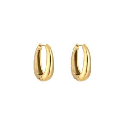Pair Of Earrings