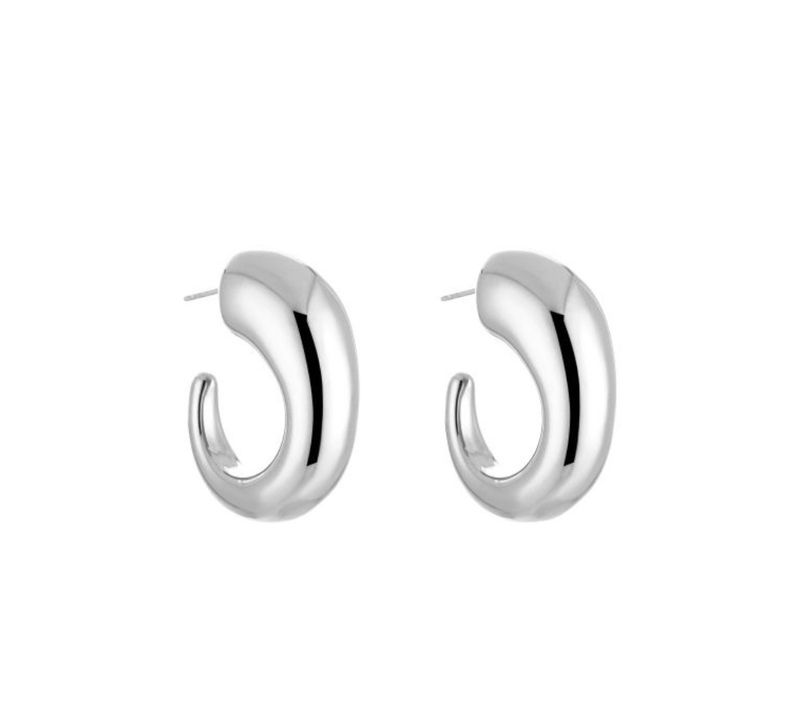 Rani Earrings Silver