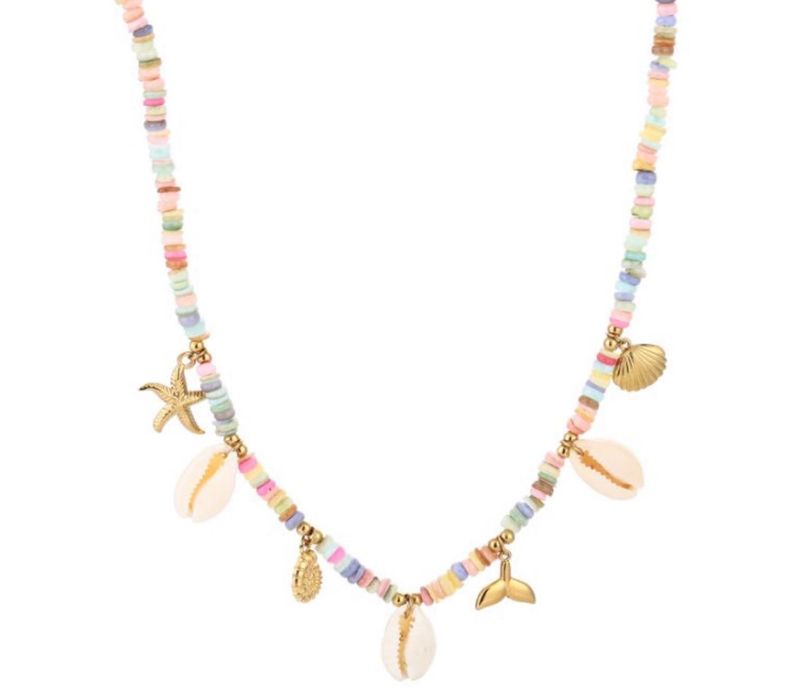 Multicolor bedelhalsketting