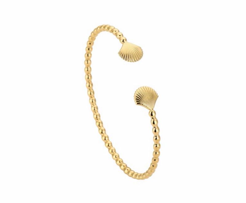 Shell bangle