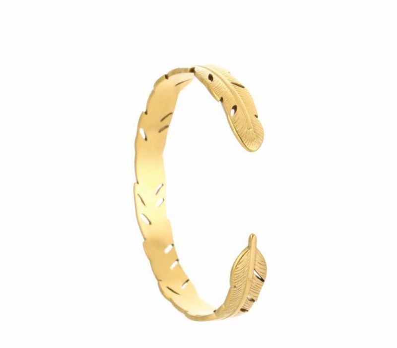 Bangle veer