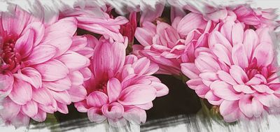 Precious Petals