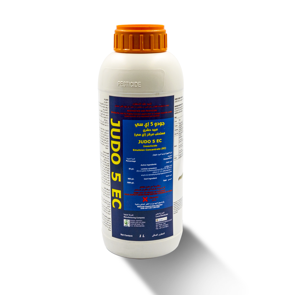 Judo 5 EC