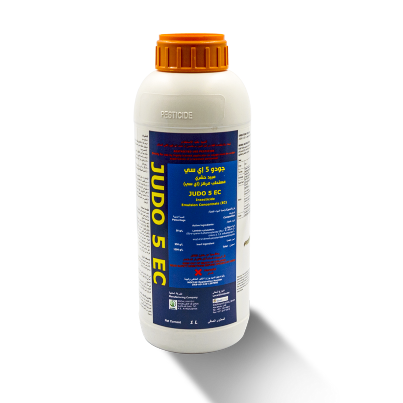 Judo 5 EC