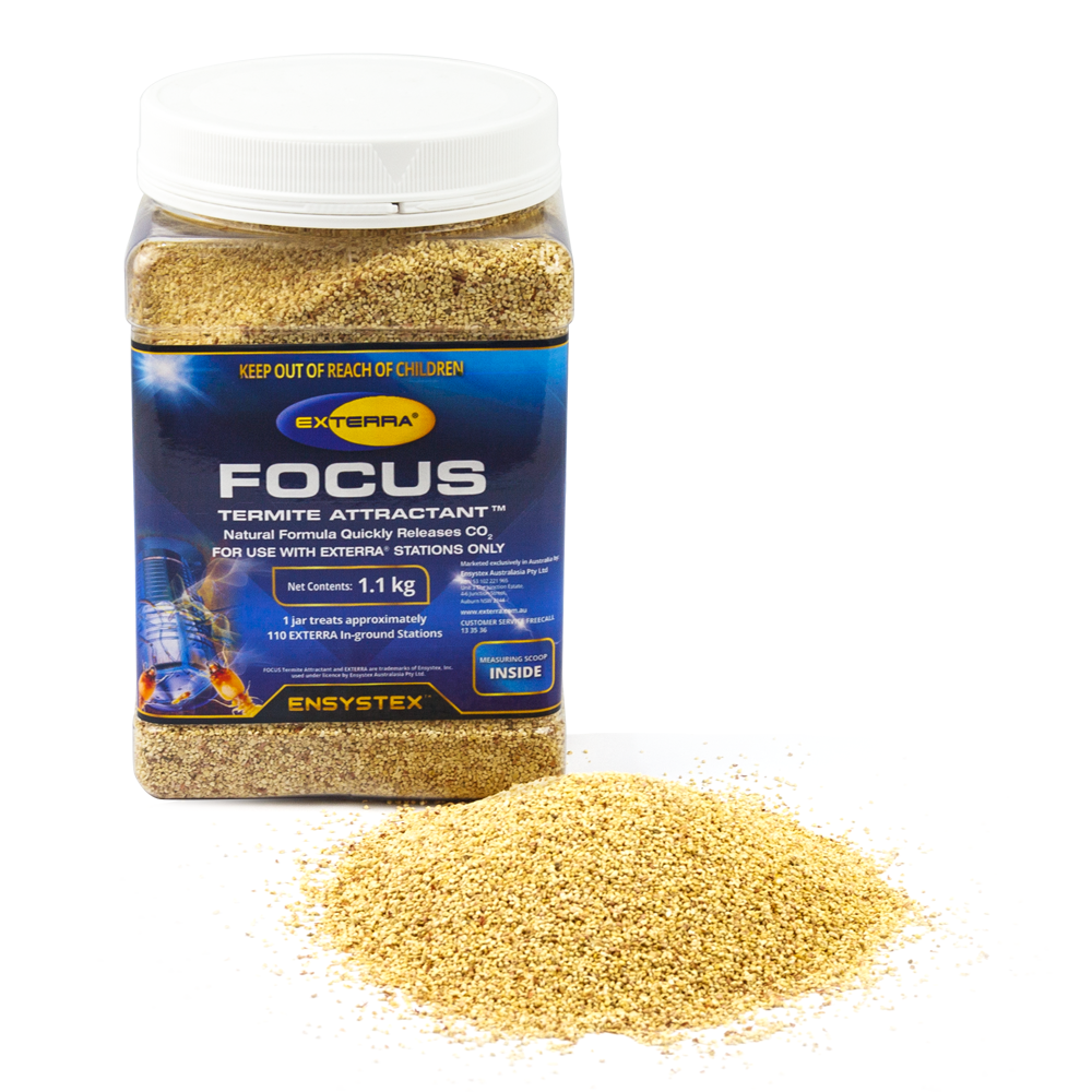 Focus Termite Attractant