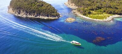 Bruny Island Wilderness Cruise, Hobart, TAS