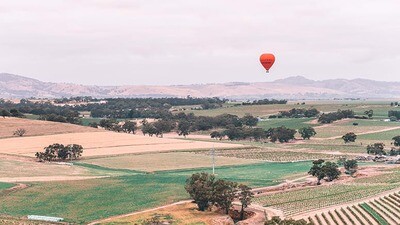 Hot Air Balloon Flight &amp; Breakfast - Barossa Valley, Adelaide