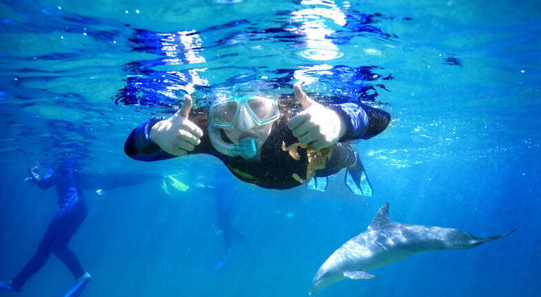 Swim with Wild Dolphins, Bunbury, WA