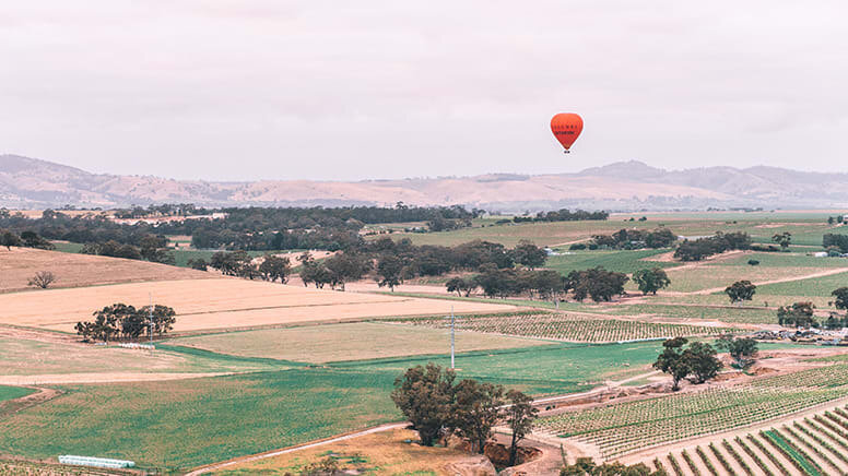 Hot Air Balloon Flight &amp; Breakfast - Barossa Valley, Adelaide