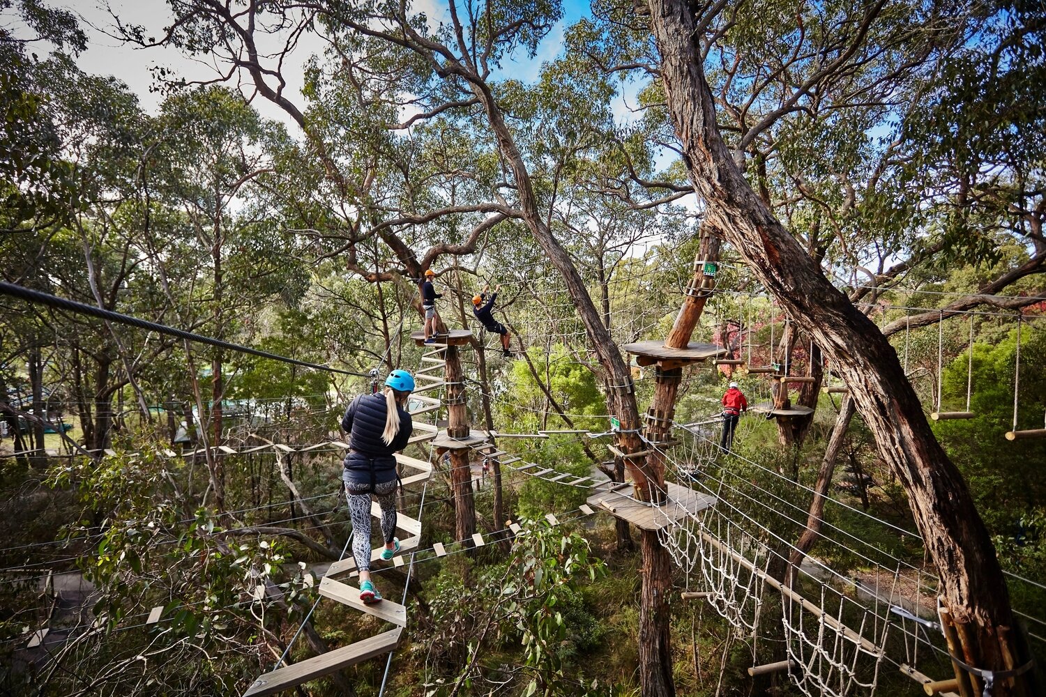 Tree Surfing, Mornington Peninsula, VIC