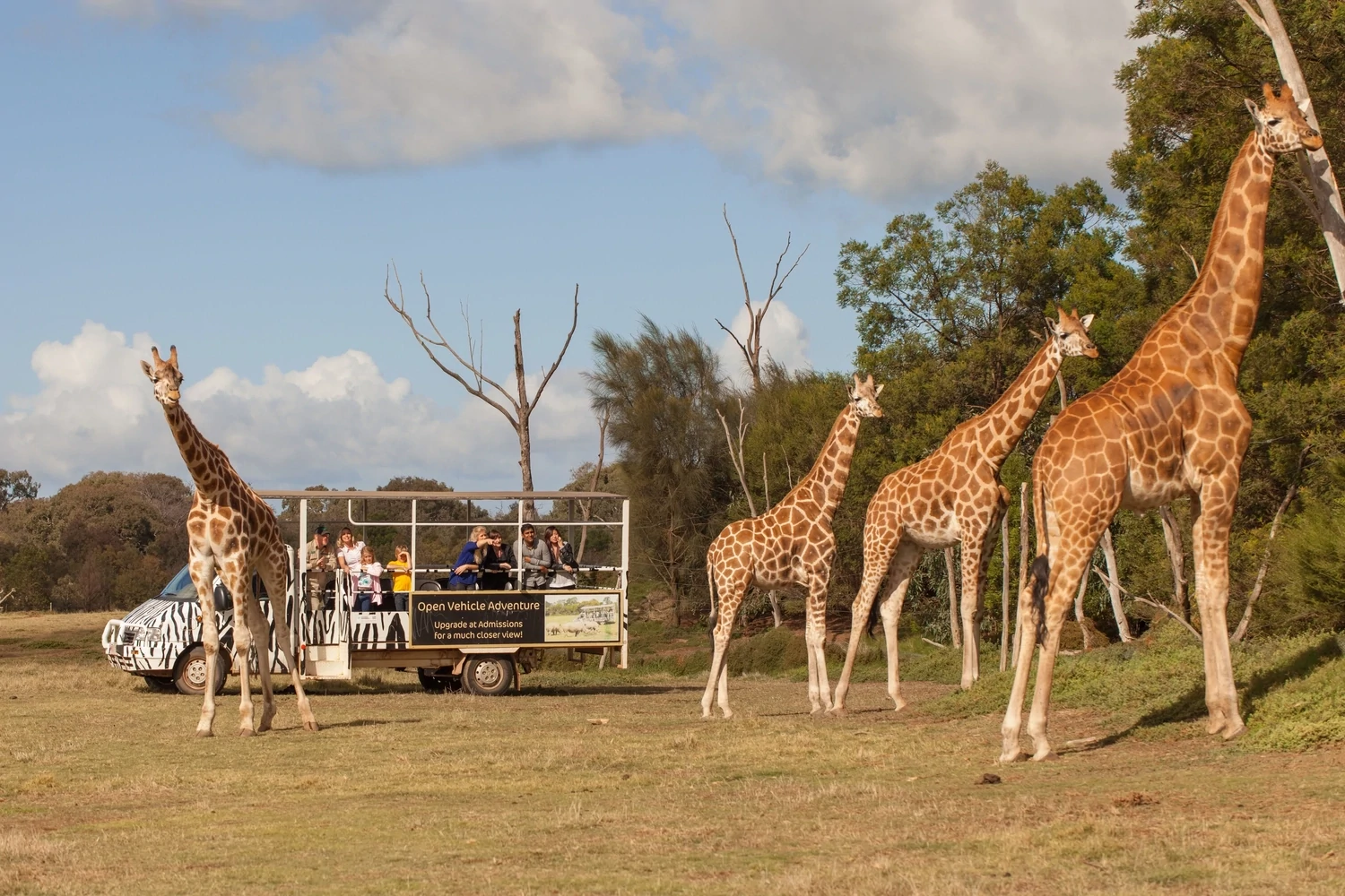 Werribee Open Range Zoo, Werribee, VIC