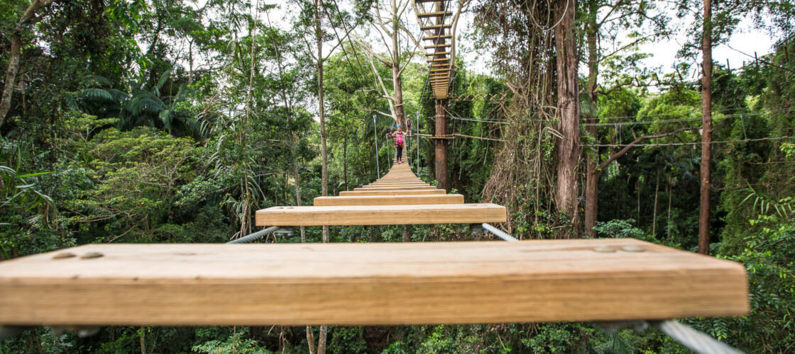 Sunshine Coast Treetop Challenge, Woombye, QLD