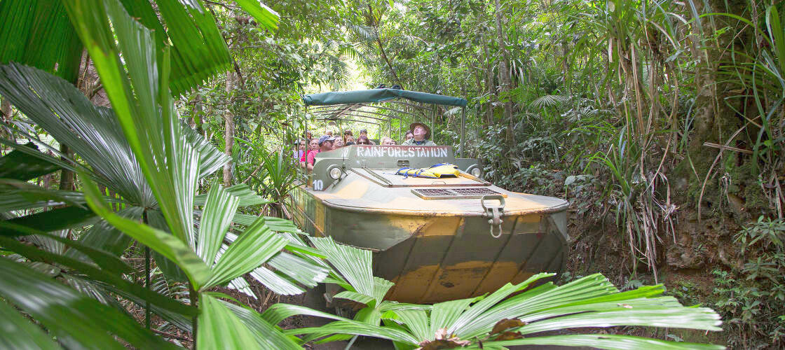 Rainforestation Nature Park, Kuranda, QLD