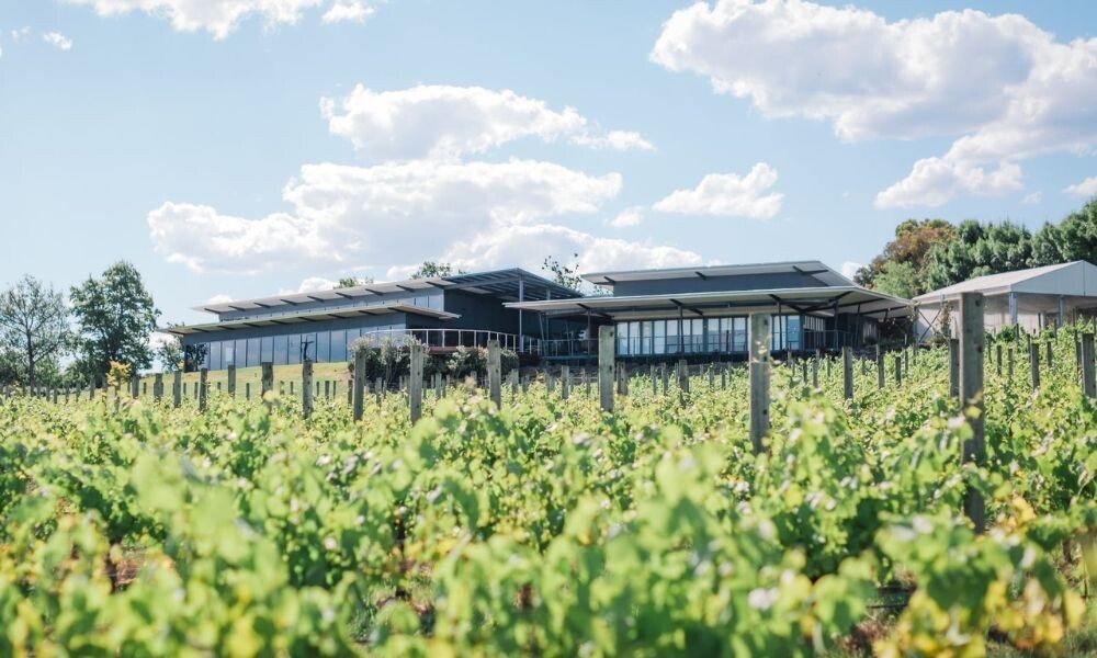 Yarra Valley Winery Tour with Lunch