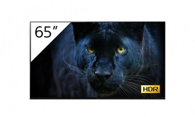 SONY FWD-65A8/T
