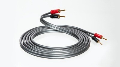 QED REFERENCE XT 40i