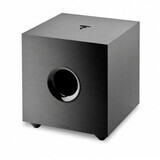 Focal Cub Evo