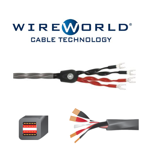 Equinox 8  potenza (2,5 metri) term. Bi-wire