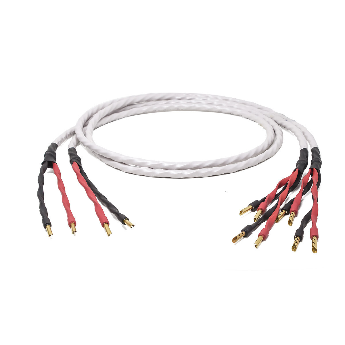 Luna 8   potenza (2,5 metri) term Bi-wire